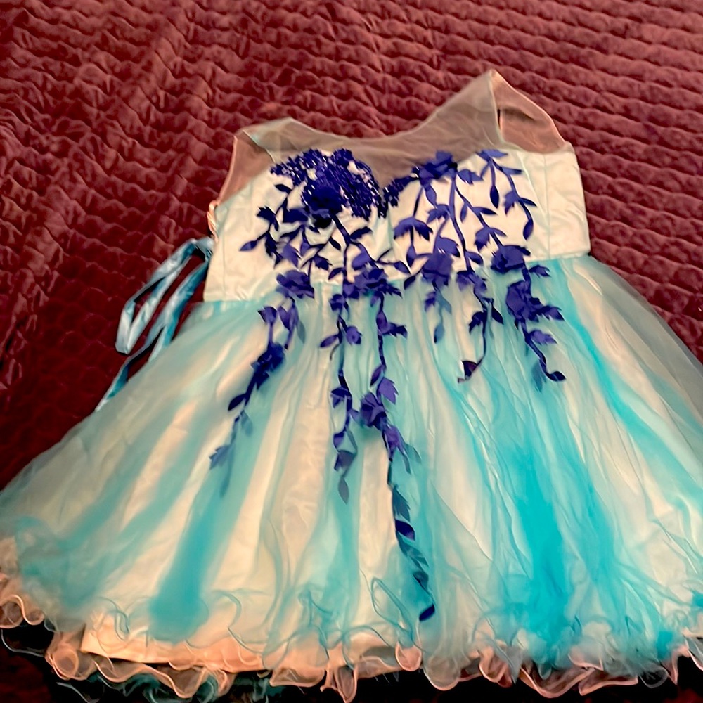 Gown turquoise and royal blue size 16